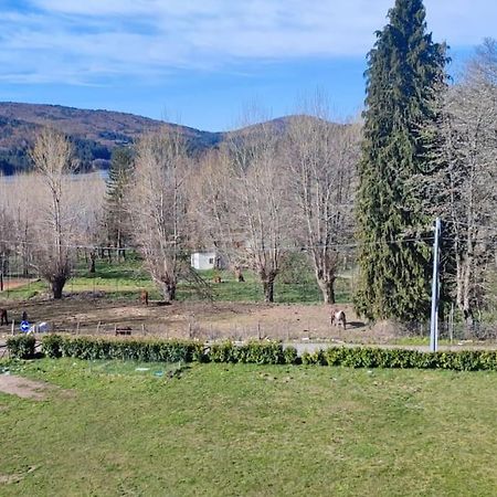 Loricalabria-Appartamento Lorica Le Macchie Екстер'єр фото